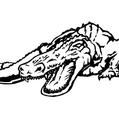 Gator